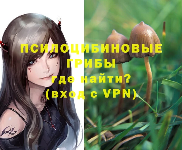 прущие крисы Михайлов