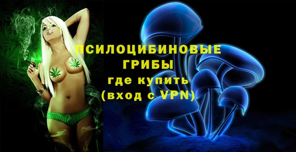 mix Надым