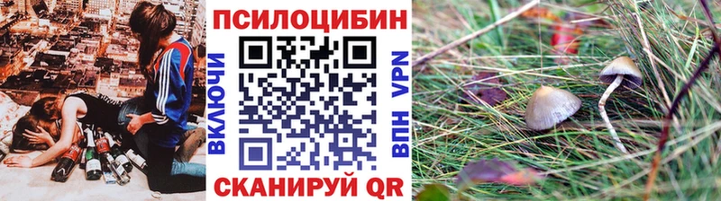 Галлюциногенные грибы прущие грибы  Нижнеудинск 