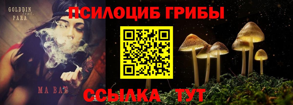 Галлюциногенные грибы мицелий Нижнеудинск