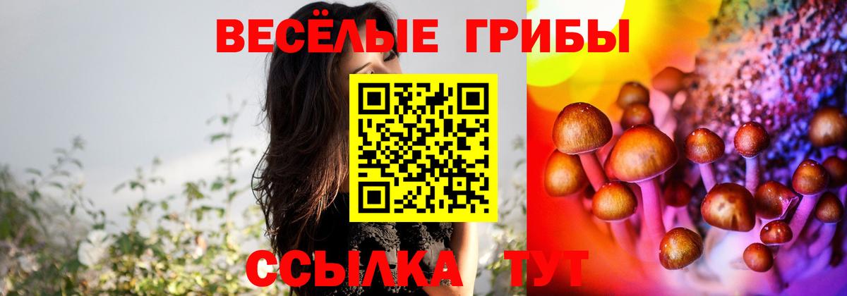 Псилоцибиновые грибы GOLDEN TEACHER  Вход с VPN  Галлюциногенные грибы Magic Shrooms  Нижнеудинск 